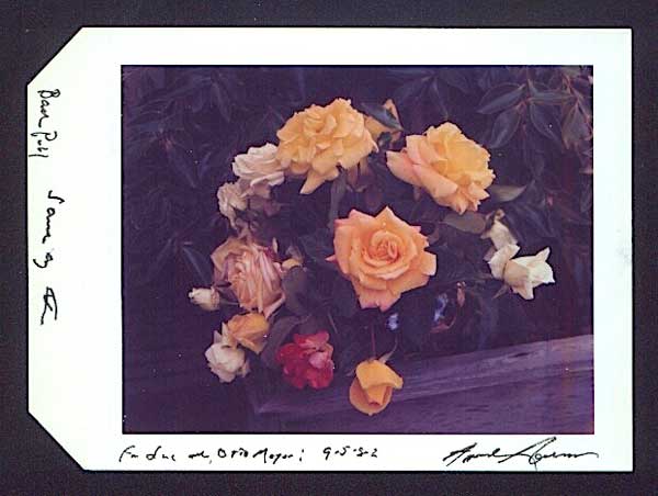 Roses, Vintage color polaroid photograph, 1982