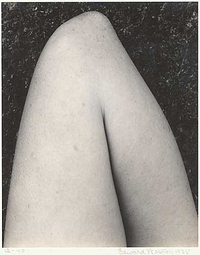 Elbow, Vintage silver print, 1935
